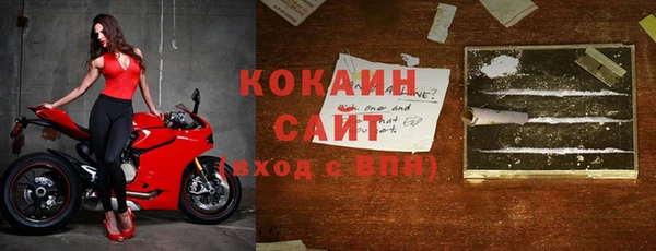 соль ск Алексин