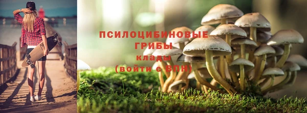 эйфоретик Алзамай
