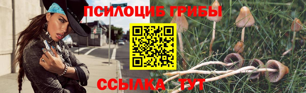 Псилоцибиновые грибы мицелий Томск