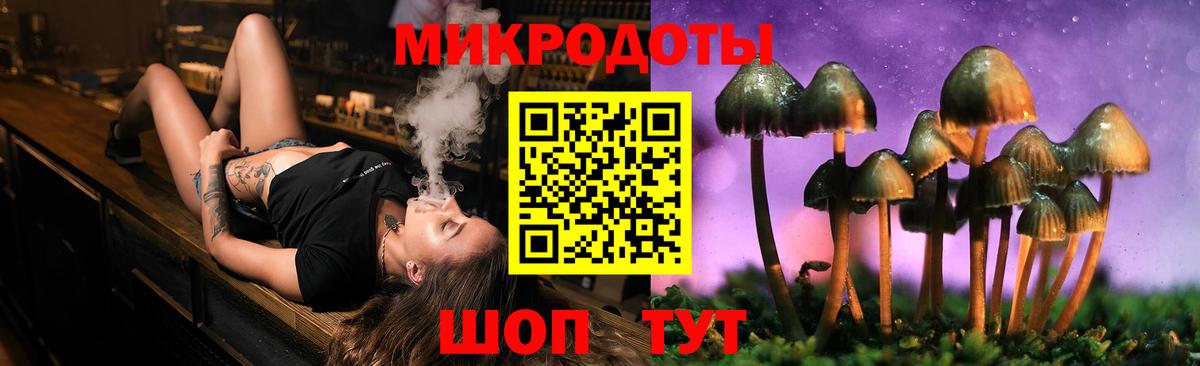 Томск  Псилоцибиновые грибы MAGIC MUSHROOMS  Вход с VPN 